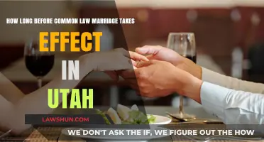 Understanding Common Law Marriage Requirements in Utah