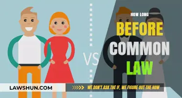 Understanding Common Law: The Time It Takes to Establish It