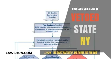 Veto Power: Understanding NY's Law-Making Process
