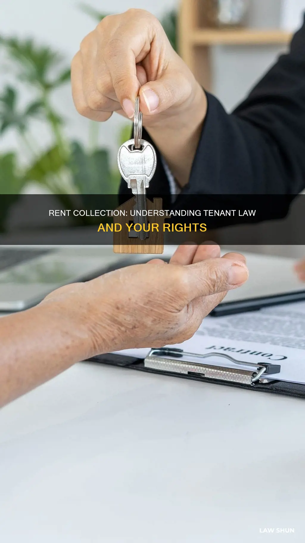 how long can collect rent from tenant law