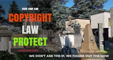 Copyright Law: Protection Duration Explained
