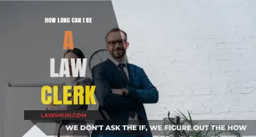 Law Clerk Careers: How Long Do They Last?