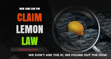 Understanding Lemon Law Claims: Statute of Limitations