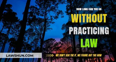 Taking a Break: Law Practice Time-Outs