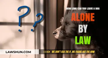Pet Owners: Know Your Legal Limit for Leaving Dogs Unattended