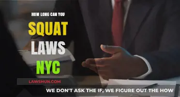 Squatting in NYC: Understanding Your Rights and Risks