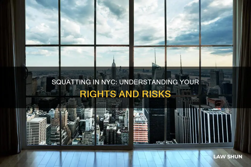 how long can you squat laws nyc