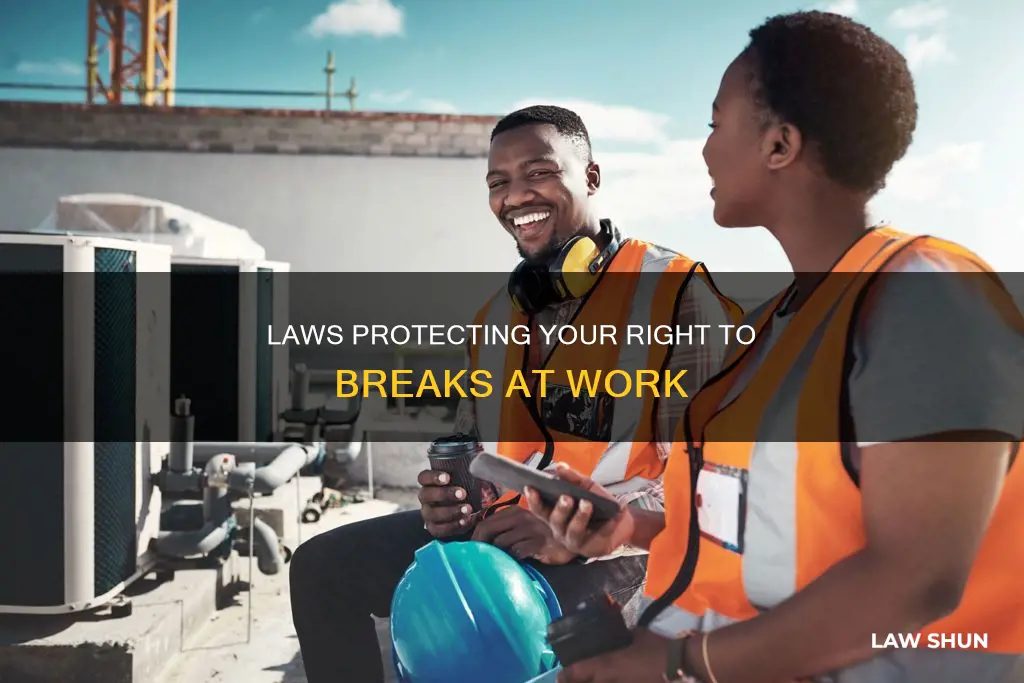 how long can you work without a break by law