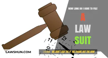 Understanding Statute of Limitations: How Long to File a Lawsuit?