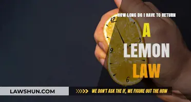 Lemon Law Return Deadlines: Understanding Your Rights and Time Limits