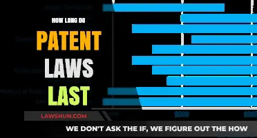 Understanding Patent Law Duration: A Comprehensive Guide