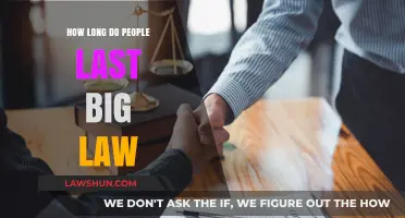 Surviving Big Law: Average Tenure and Factors Affecting Longevity
