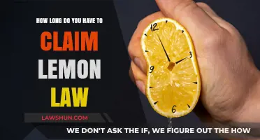 Understanding Lemon Law Claim Deadlines: What You Need to Know