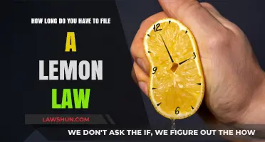 Lemon Law Filing Deadlines: What You Need to Know