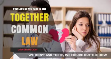 Understanding Common-Law Marriage and Its Legal Requirements