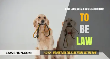 Understanding Legal Leash Lengths: What Every Dog Owner Should Know