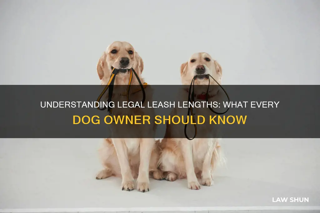 how long does a dog