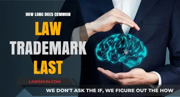 Trademark Law: How Long Does Common Law Protection Last?