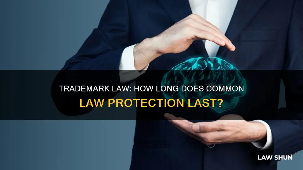 how long does common law trademark last