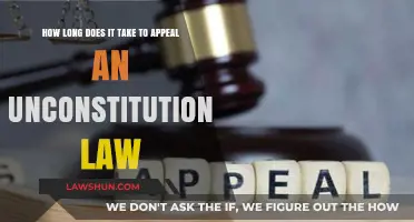 Appealing Unconstitutional Laws: Understanding the Timeline for Legal Challenges