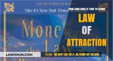 Mastering the Law of Attraction: Timeframe and Effective Learning Strategies