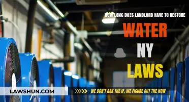 NY Landlord Water Restoration Timeline: Legal Obligations Explained