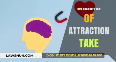 How Long Does the Law of Attraction Take to Manifest?