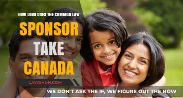 Common-Law Sponsorship: Canada's Processing Time