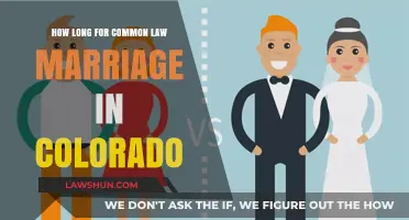 Understanding Colorado's Common Law Marriage Requirements