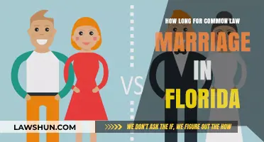 Understanding Florida's Common Law Marriage Requirements