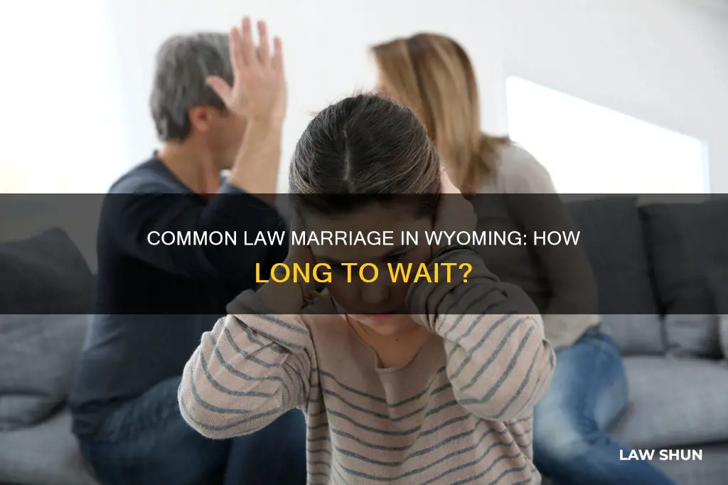 how long for common law marriage in wyoming