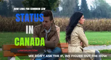 Common-Law Status in Canada: How Long to Wait?