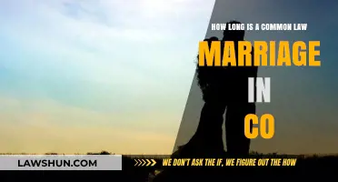 Understanding Colorado's Common Law Marriage Requirements