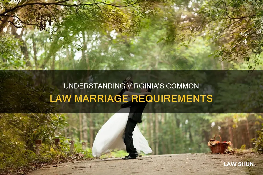 how long is a common law marriage in virginia