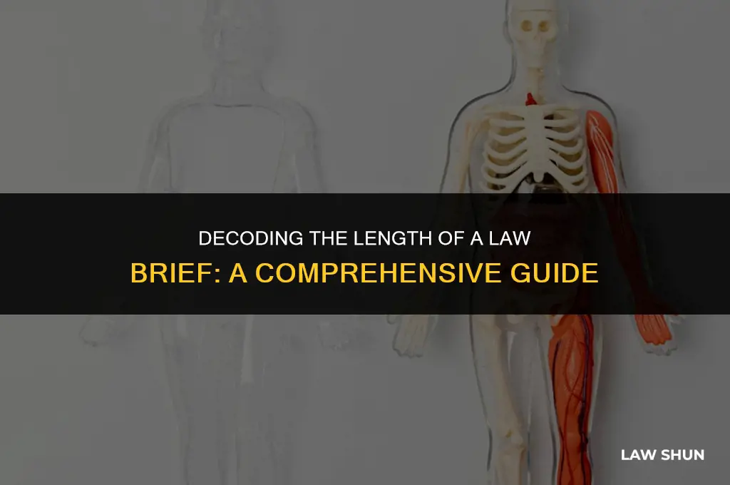how long is a law brief