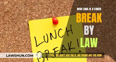 Understanding Your Legal Lunch Break Entitlement