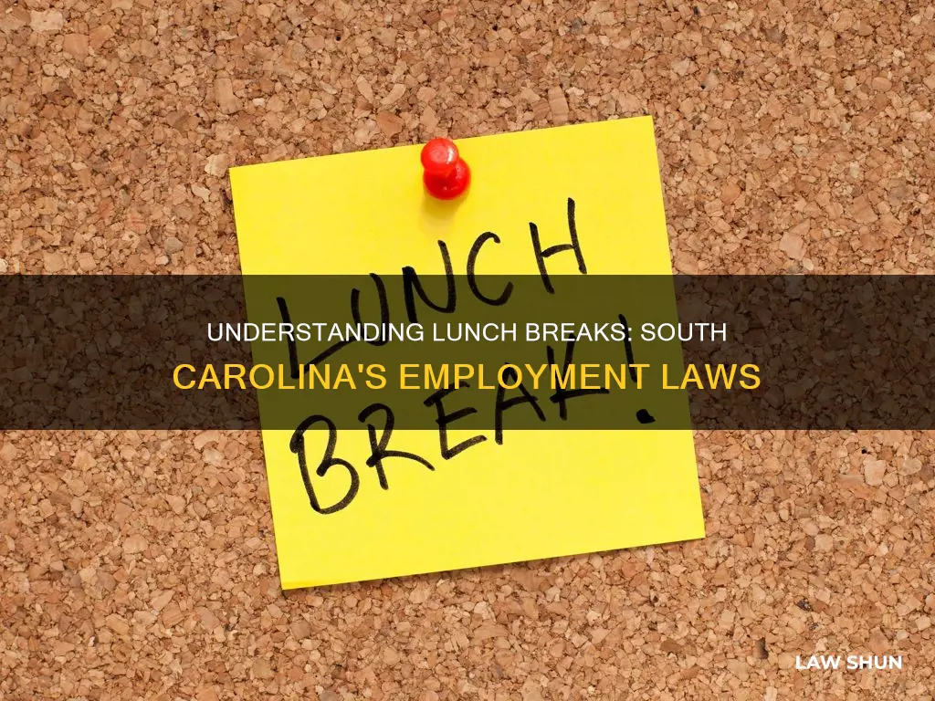 how long is a lunch break by sc law