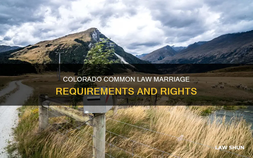 how long is common law in colorado