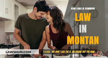 Montana's Common Law Marriage Requirements Explained