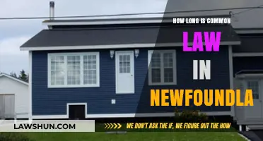 Common-Law Relationships in Newfoundland: Duration and Rights