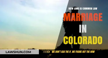 Understanding Colorado's Common-Law Marriage Requirements