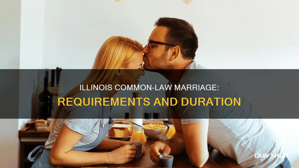 how long is common law marriage in illinois