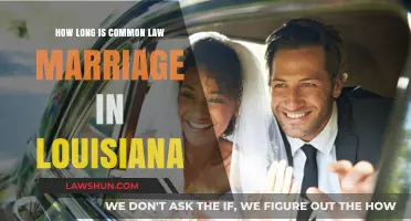 Louisiana's Common Law Marriage Requirements Explained