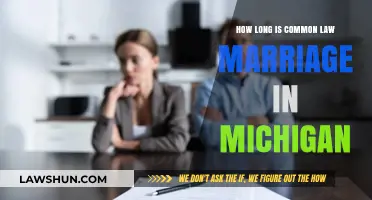 Common-Law Marriage in Michigan: Understanding the Requirements