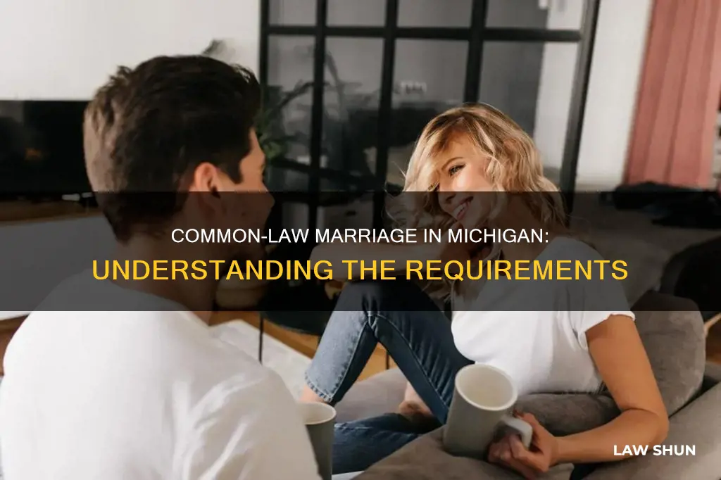 how long is common law marriage in michigan