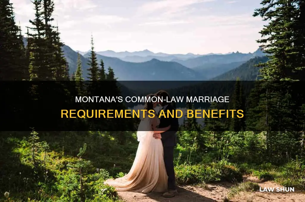 how long is common law marriage in montana