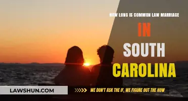 South Carolina's Common Law Marriage Requirements Explained