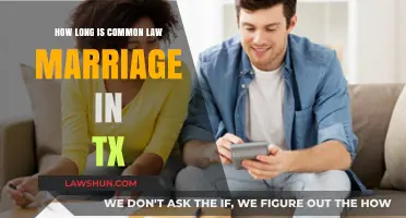 Understanding Texas Common Law Marriage Requirements