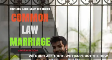 Common-Law Marriage in Mexico: How Long to Make It Legal?