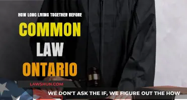 Cohabitation and Common-Law Rights in Ontario: How Long to Wait?